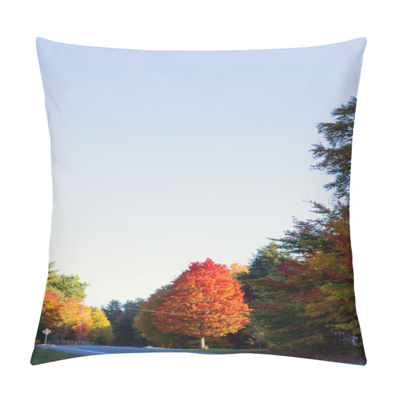 Personality  Autumn Foliage Landscapes Pillow Covers