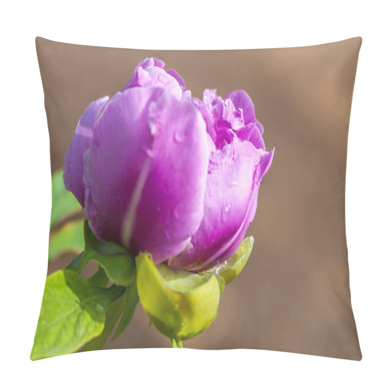 Personality  Fresh Pink Peonies Pillow Covers