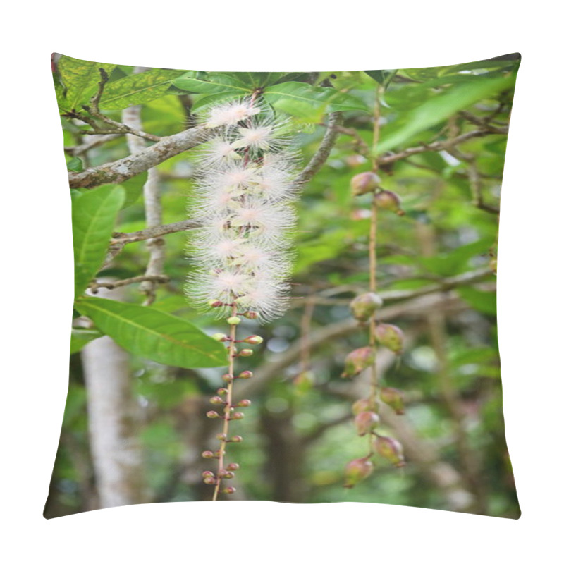 Personality  This Taiwanese Native, Barringtonia Racemosa, Showcases Clusters Of White Blossoms That Dazzle Like Fireworks At Night, Embodying Tropical Elegance. Pillow Covers