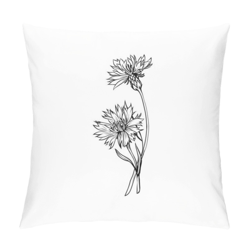 Personality  Cornflower Black Ink Vector Illustration. Summer Meadow Flower, Honey Plant With Name Engraved Sketch. Common Knapweed Outline. Centaurea Nigra Botanical Black And White Drawing With Inscription Pillow Covers