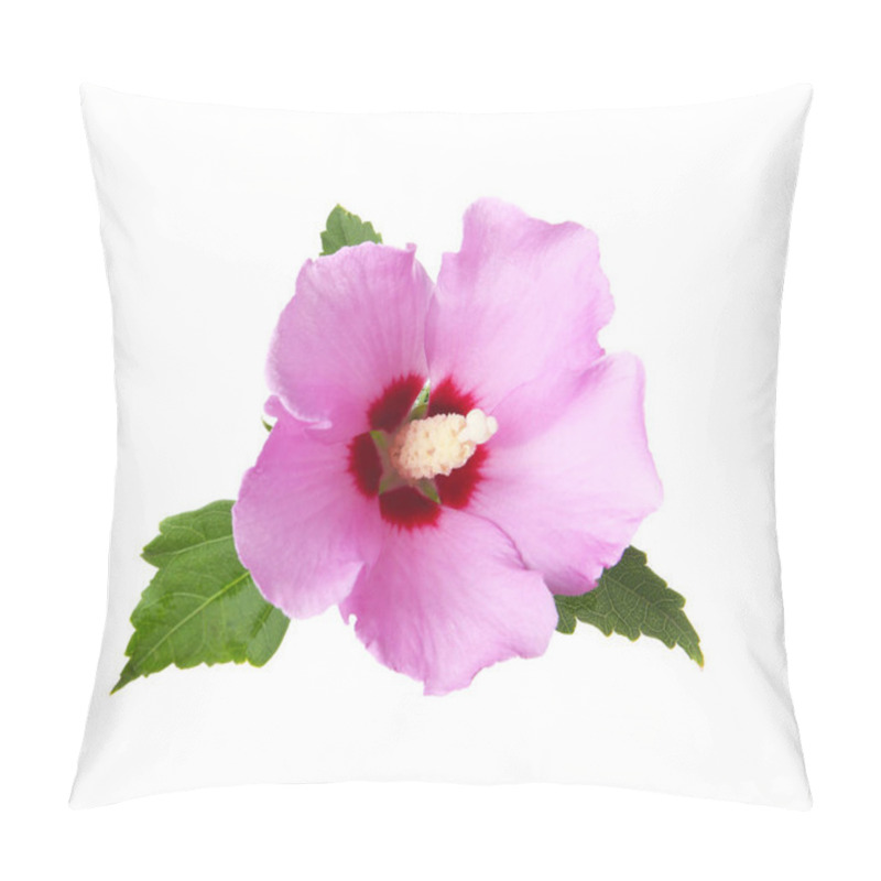 Personality  Beautiful Tropical Hibiscus Flower On White Background Pillow Covers