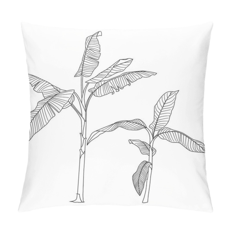 Personality  Vector Illustration, Drawing In Black And White, Tropical Plant Pillow Covers