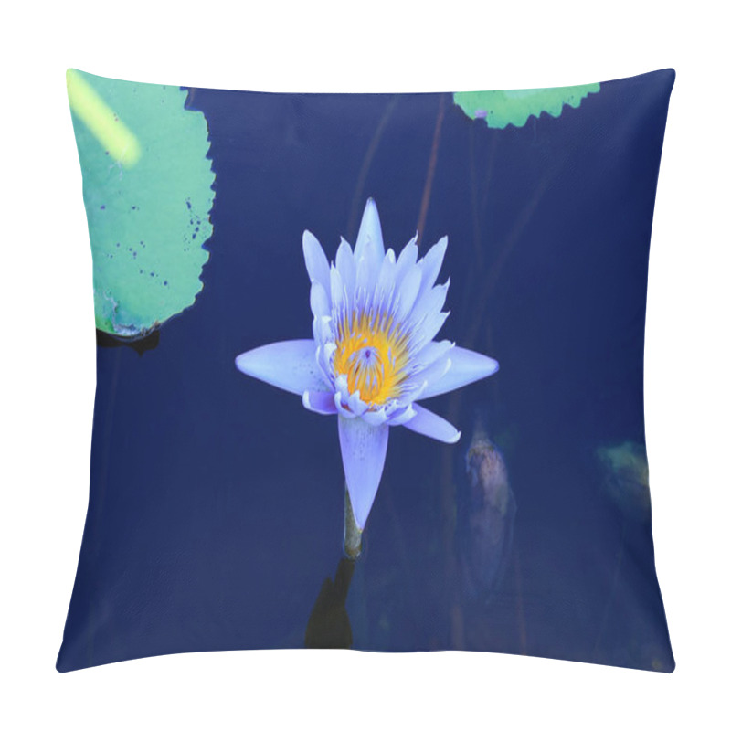 Personality  Purple Lotus Flowers At The Botanical Garden Are A Tourist Attraction In Rayong Province, Thailand. Pillow Covers