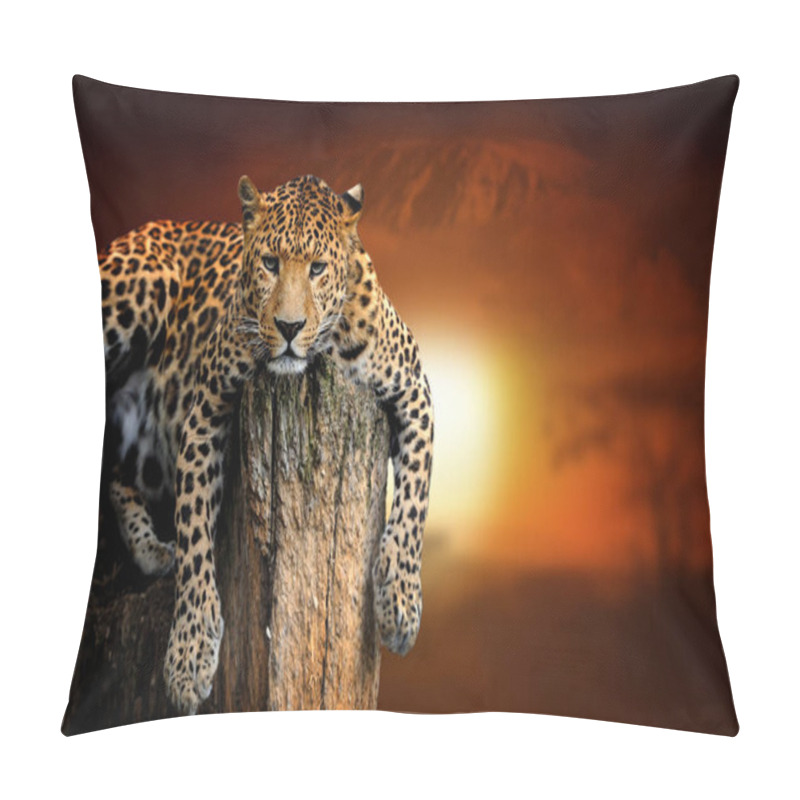 Personality  Leopard On Savanna Landscape Background And Mount Kilimanjaro At Pillow Covers