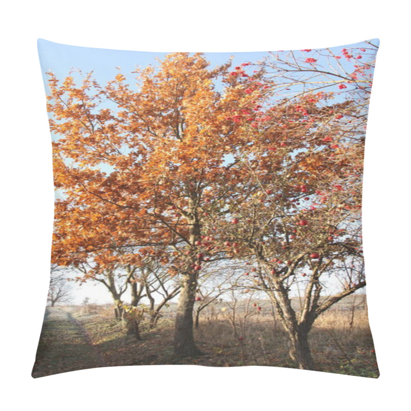 Personality  Ukrainian Autumn Morning. Morning Background For Phones And Tablets. Apple Orchard. Pillow Covers