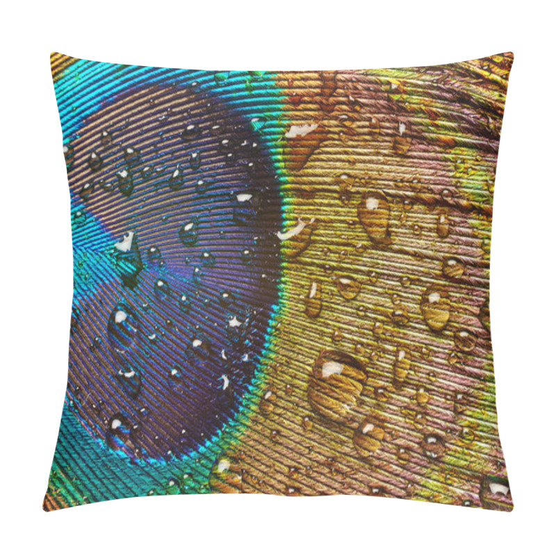 Personality  Peacock Feather With Drops Of Water Pillow Covers