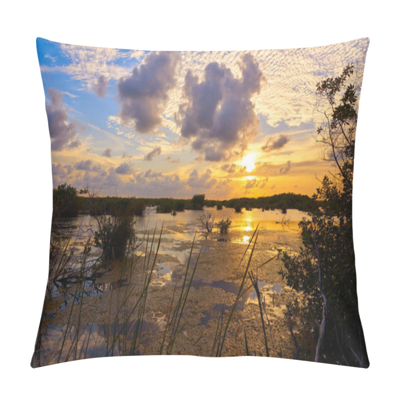 Personality  Mangroove Sunset In Riviera Maya Pillow Covers