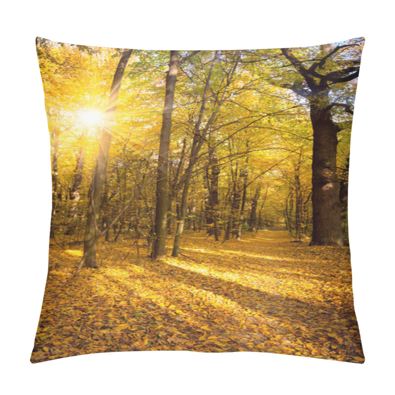 Personality  Gold Autumn With Sunlight And Sunbeams -  Beautiful Trees In The Pillow Covers