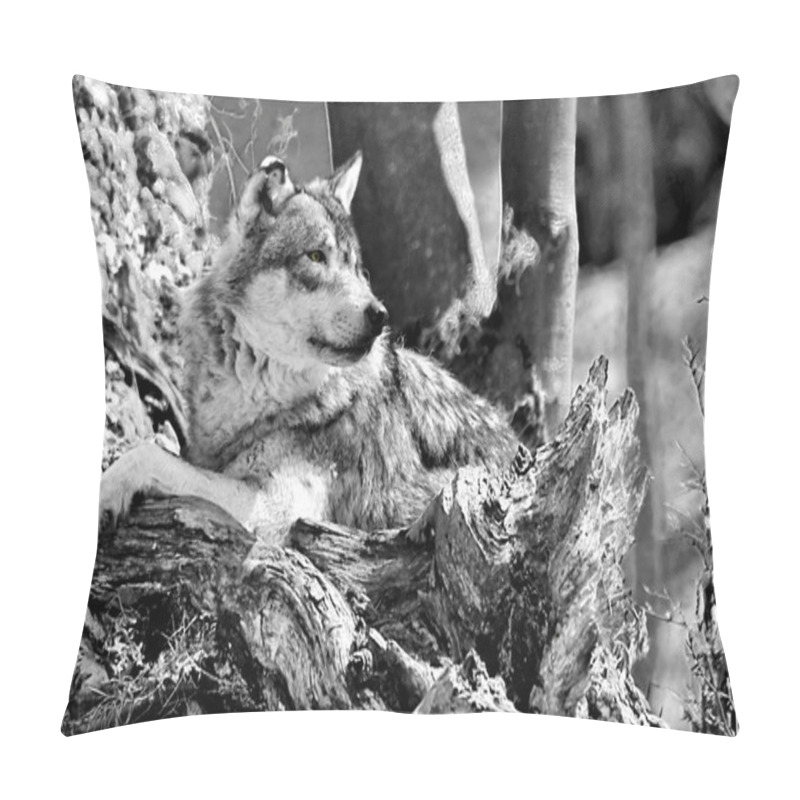 Personality  One  Wolf Resting Pillow Covers