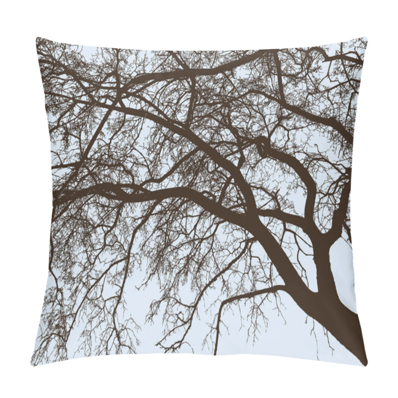 Personality  The Branches Of Deciduous Tree In Winter Pillow Covers