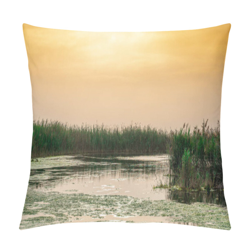 Personality  Beautiful Nature Image Of Lake Near Irkaya Farm In Doha,Qatar,Qatar Pillow Covers