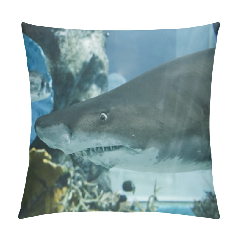 Personality  Shark Pillow Covers