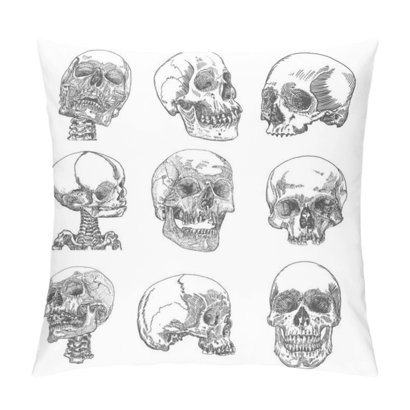 Personality  Set Of Anatomic Skull Sketches Pillow Covers