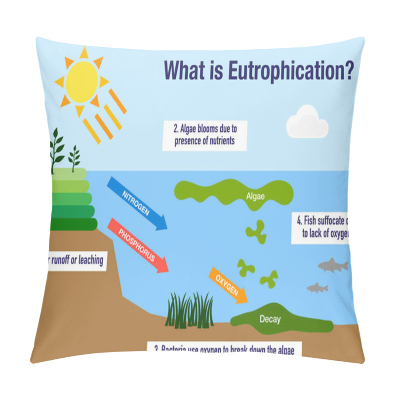 Personality  The Eutrophication Environmental Process Explained Pillow Covers