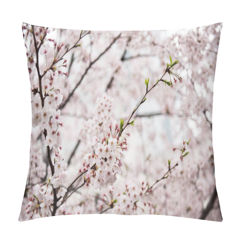 Personality  Beautiful Cherry Flowers On Tree Pillow Covers