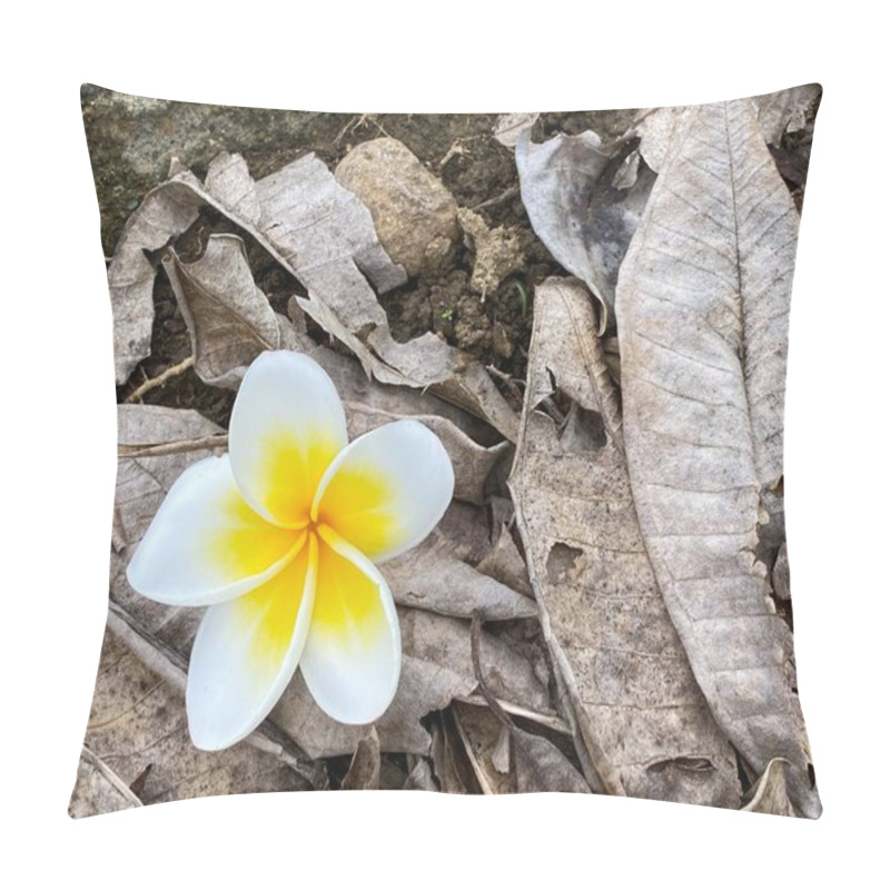 Personality  A Vibrant Single Yellow And White Frangipani Flower Resting On A Bed Of Dry Fallen Leaves Outdoors, Symbolizing Contrast And Natural Beauty In A Decayed Environment. Pillow Covers