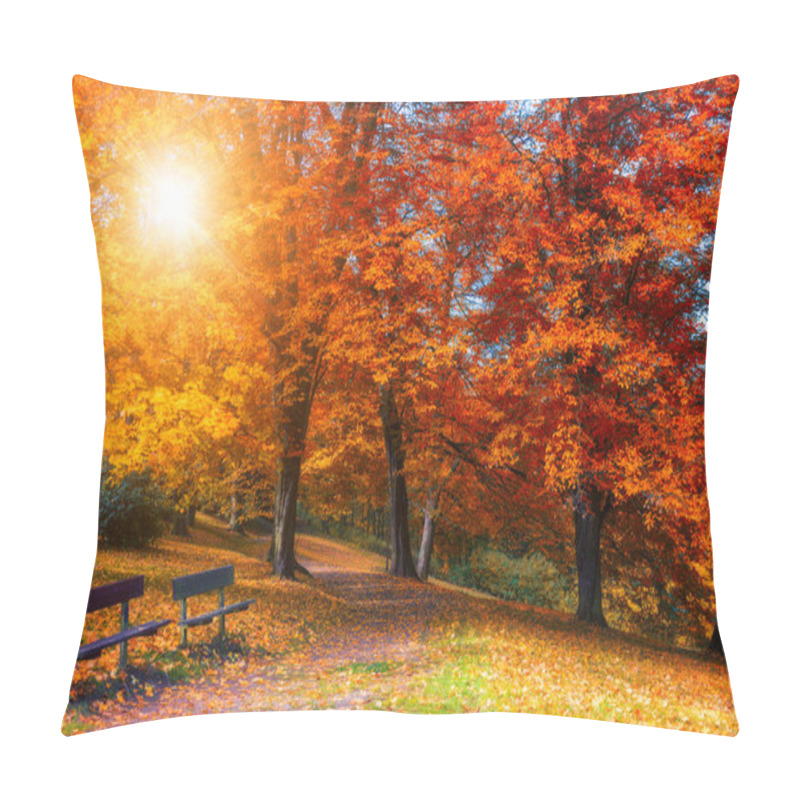 Personality  Golden Autumn Scene In A Park, With Falling Leaves, The Sun Shining Through The Trees And Blue Sky. Colorful Foliage In The Park, Falling Leaves Natural Background Pillow Covers