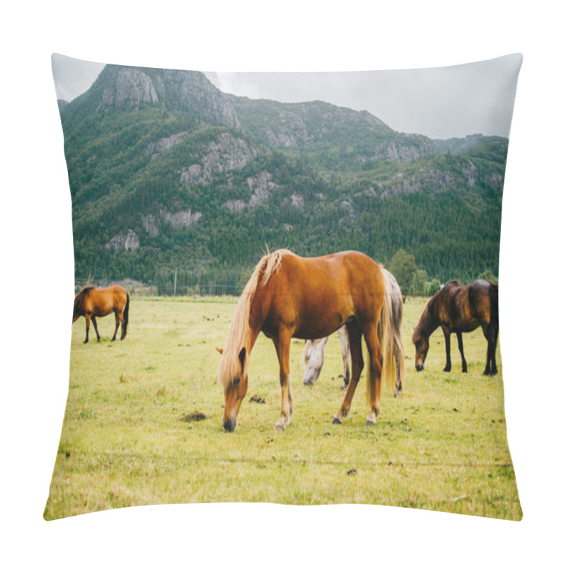 Personality  Wildlife In Norway. Scandinavian Fjord Beautiful Horses On Pasture Eat Grass On Field In Summer Rainy Weather. Cloudy Sky. Mountains On Background. Rocks. Funny Mammal Animals. Rural. Travel. Nature. Pillow Covers