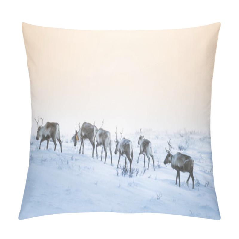 Personality  A Beautiful Evening Landscape Of A Reindeer Herd Resting In The Norwegian Hills Just Before The Sunset. Scandinavian Scenery. Pillow Covers