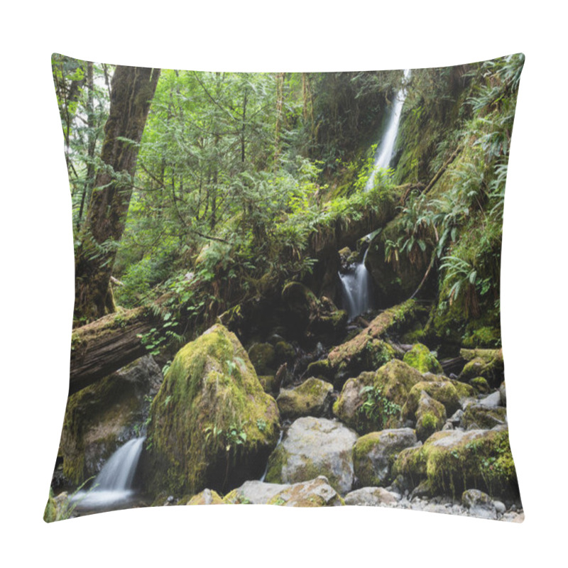 Personality  Merriman Falls In Lake Quinault Valley - Olympic Peninsula, WA, USA Pillow Covers