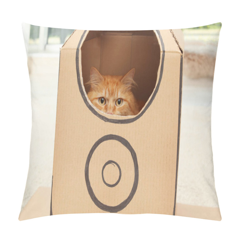 Personality  Adorable Red Cat In Cardboard Box Indoors Pillow Covers