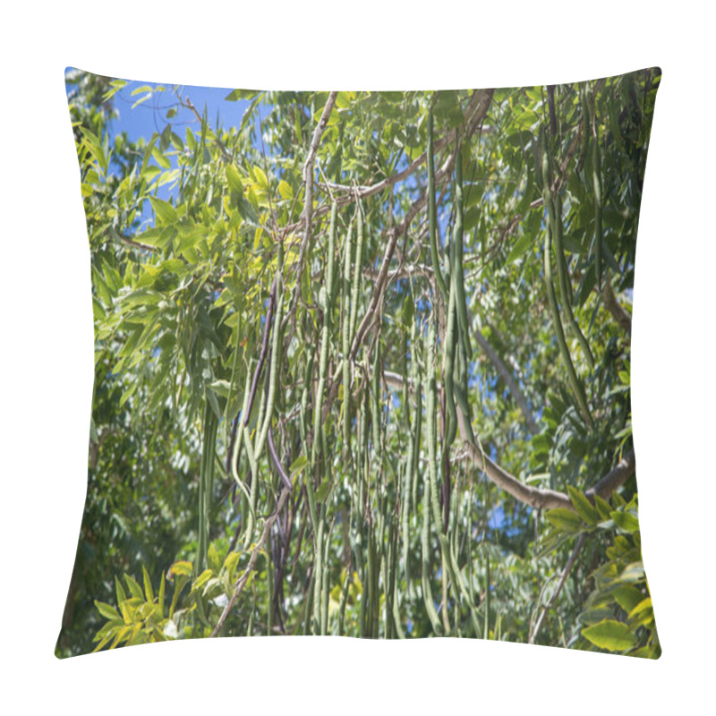 Personality  Enjoying A Stroll Around Romney Manor In St. Kitts  Pillow Covers