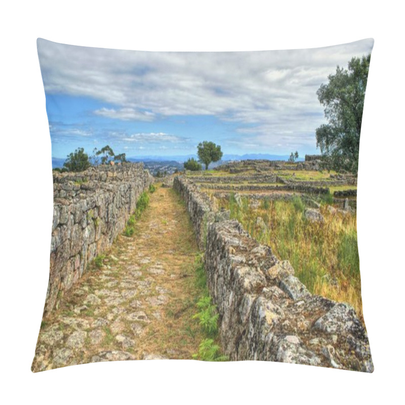 Personality  Proto-historic Settlement In Sanfins De Ferreira Pillow Covers