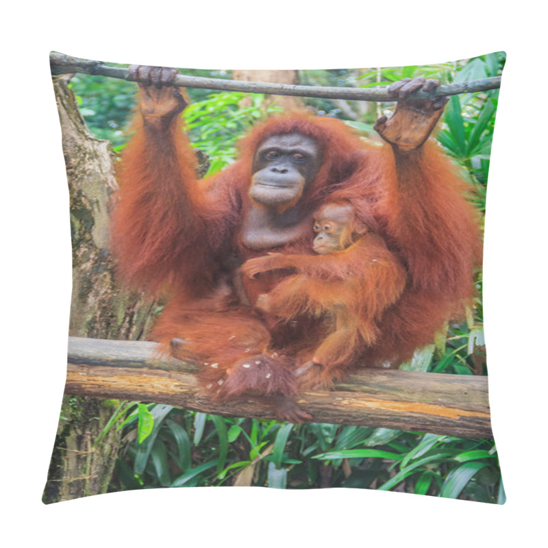 Personality  Mother And Baby Orangutan Pillow Covers