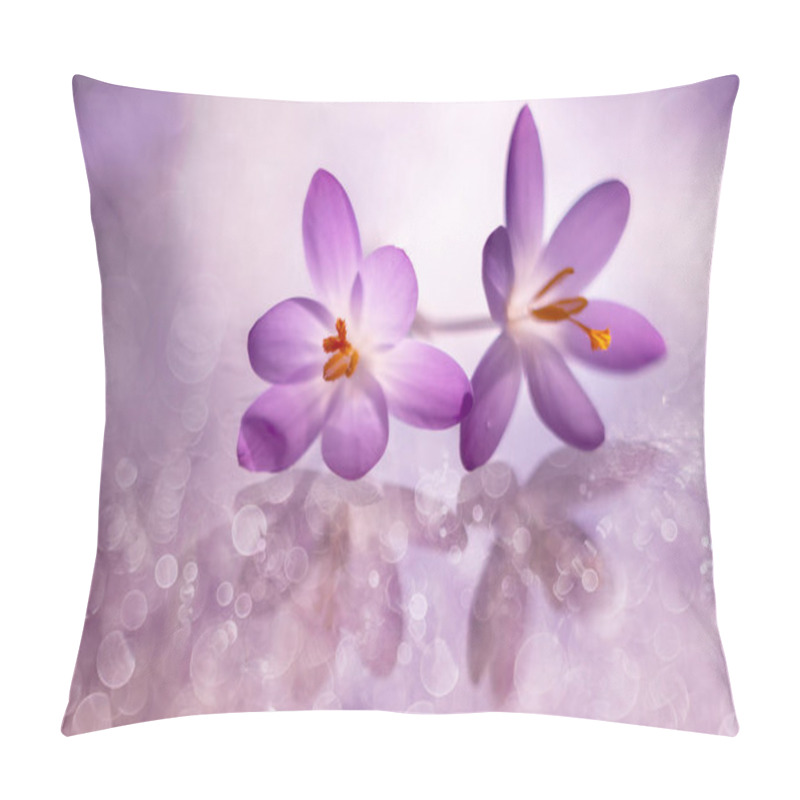 Personality  Purple Crocuses, Flowers, Purple Flowers, Blooming Flowers, Spring Crocuses, Pillow Covers