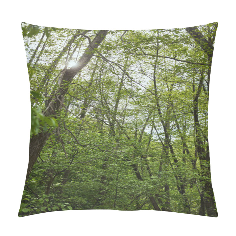 Personality  Low Angle View Of Green Forest With Leaves Trees Pillow Covers