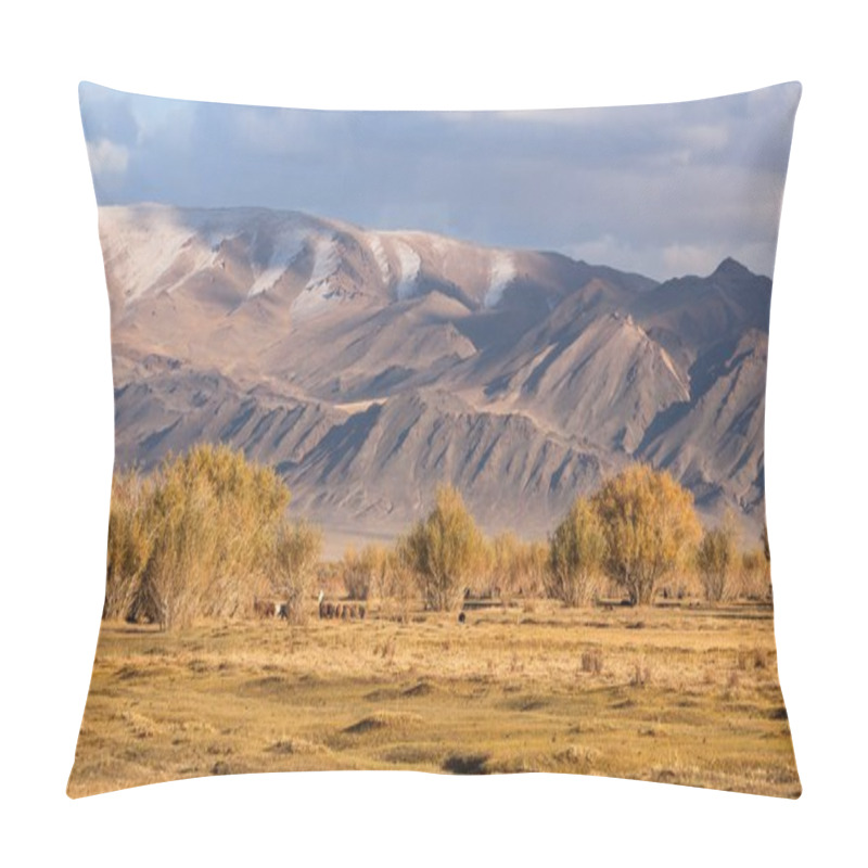 Personality   Mountains In Western Mongolia Pillow Covers