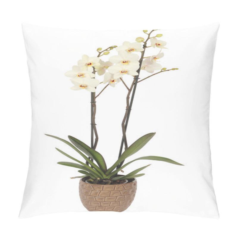 Personality  Colourfull Floral Arrangement Pillow Covers