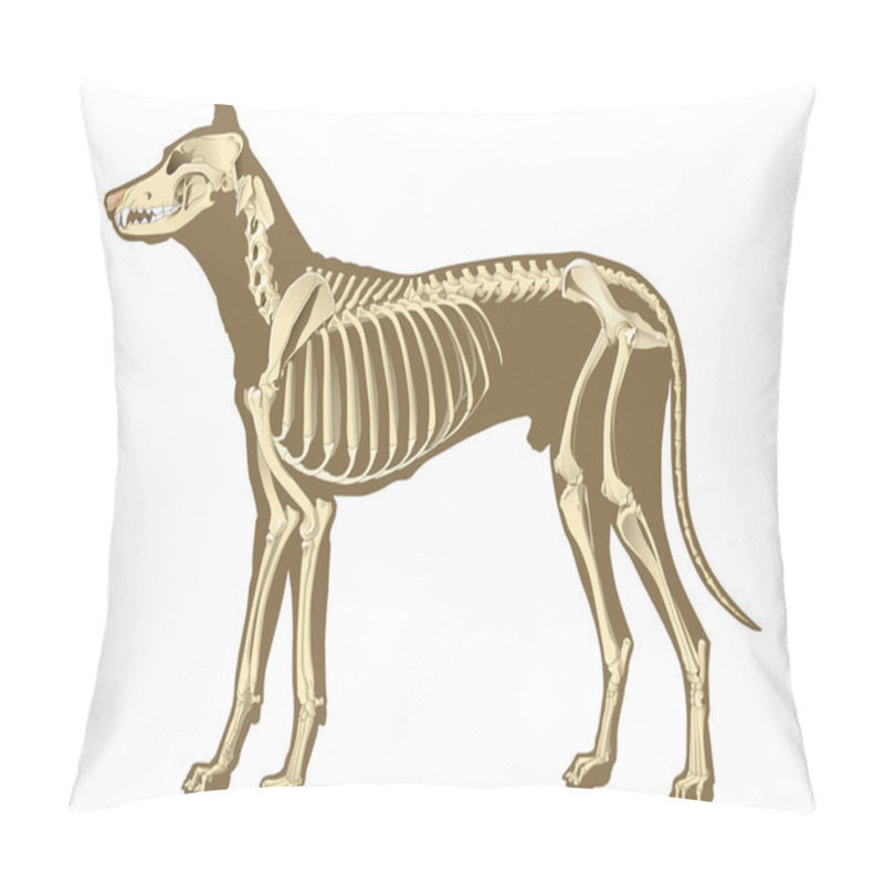 Personality  Dog Skeleton Pillow Covers