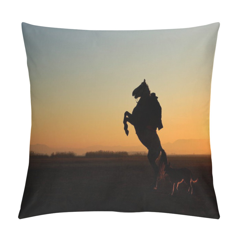 Personality  Rider And Prancing Horse. A View At Sunset. Cappadocia, Turkey Pillow Covers