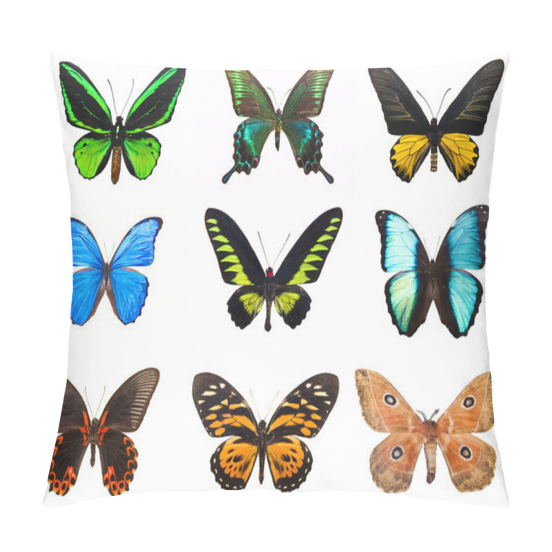 Personality  Tropical Butterflies Pillow Covers