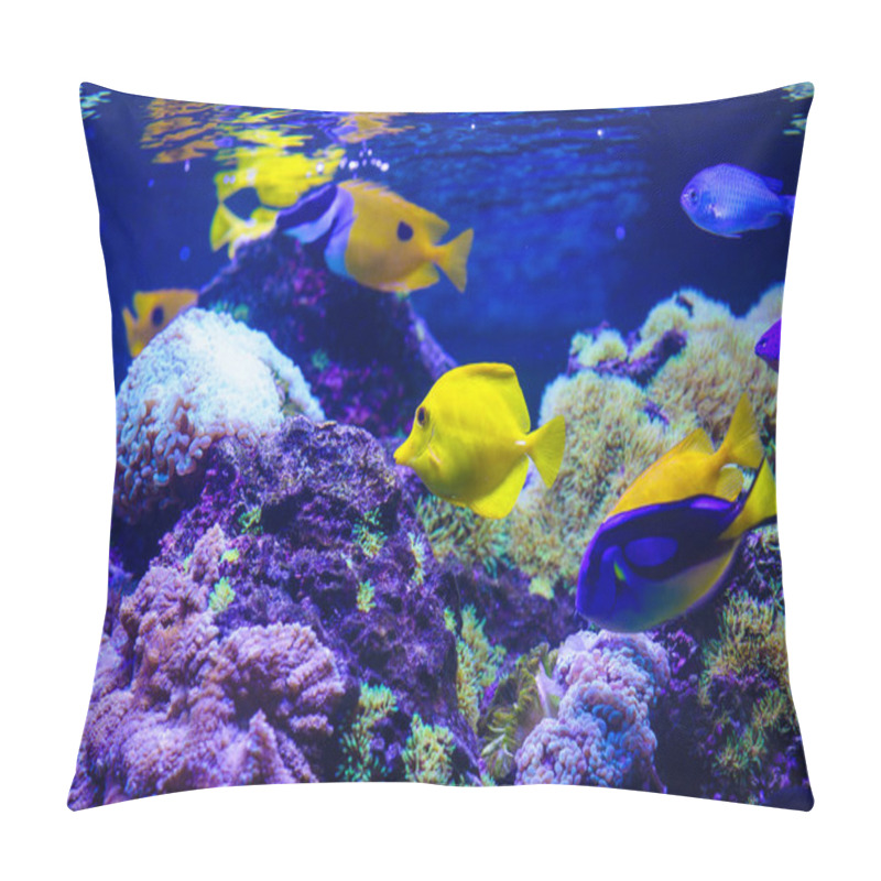 Personality  Close Up Shot Of Underwater World  Pillow Covers