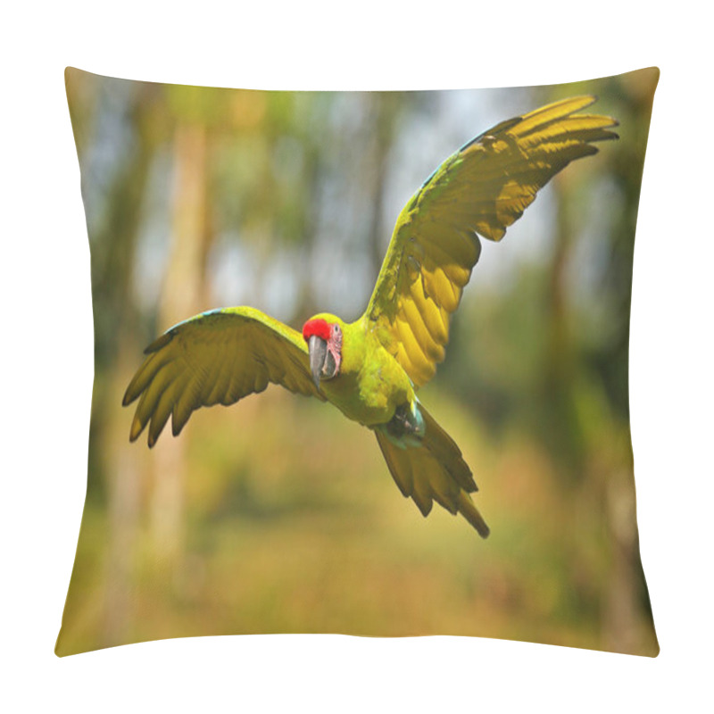 Personality  Ara Ambigua, Green Parrot Great-Green Macaw On Tree. Wild Rare Bird In The Nature Habitat, Sitting On The Branch In Costa Rica. Wildlife Scene In Tropic Forest. Dark Forest With Macaw Parrot. Pillow Covers