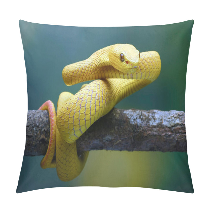 Personality  White-lipped Island Pit Viper On The Tree Branch Pillow Covers