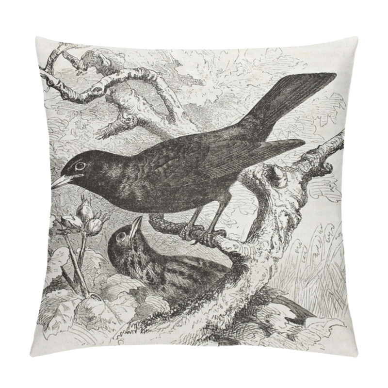 Personality  Common Blackbird Pillow Covers