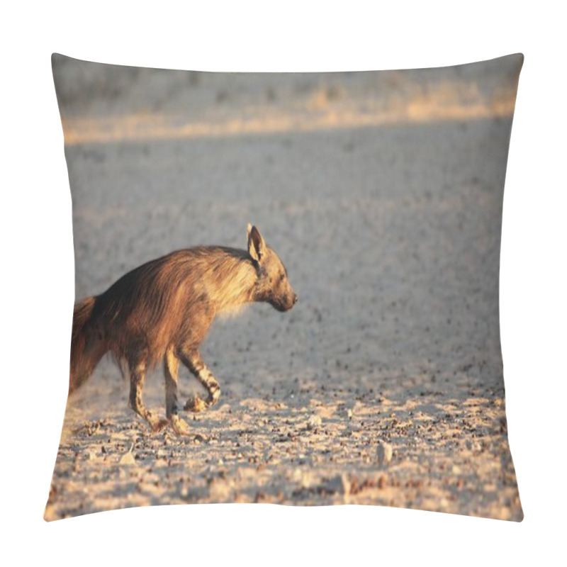 Personality  The Brown Hyena (Parahyaena Brunnea) Running From The Waterhole In Morning Sun.  Pillow Covers