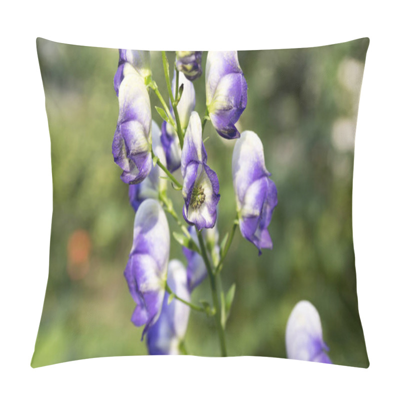 Personality  Aconitum Paniculigerum, Aconitum Cammarum, Aconite, Monkshood, Wolfs Bane, Leopards Bane, Mousebane, Womens Bane, Devils Helmet, Queen Of All Poisons, Blue Rocket In Bloom Pillow Covers