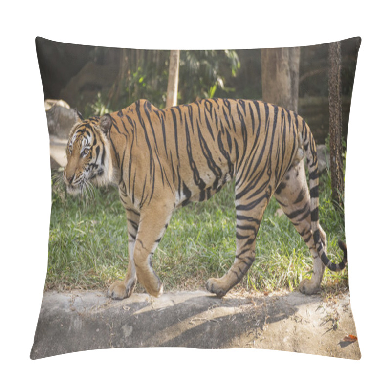 Personality  Bengal Tiger Walking  Pillow Covers