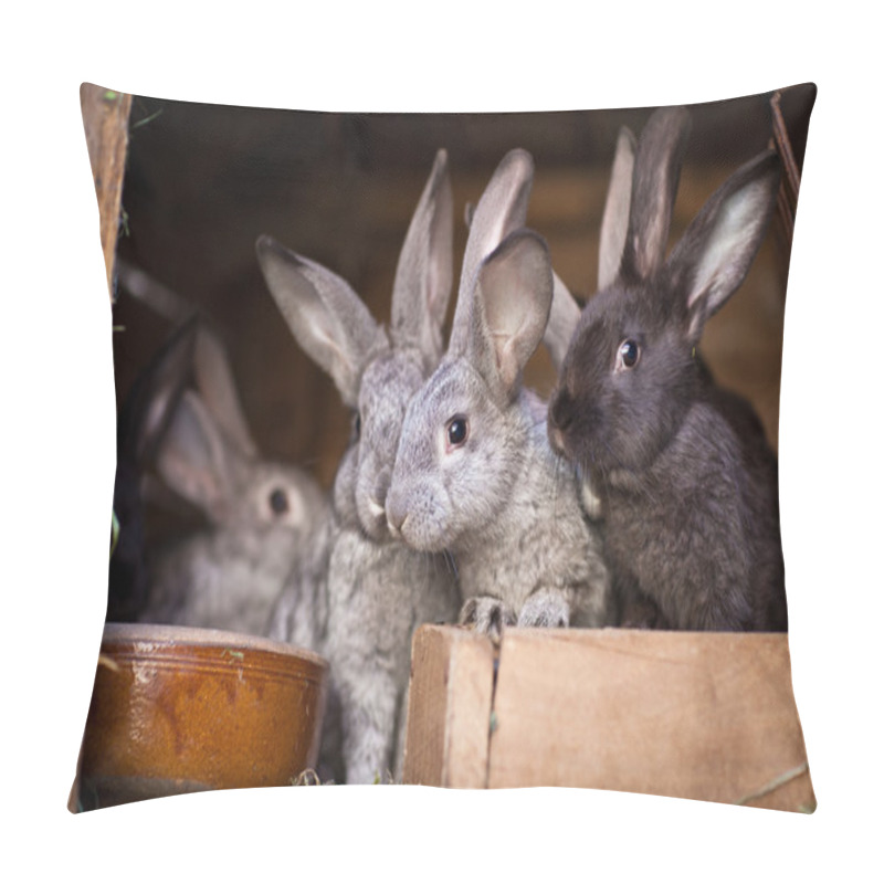 Personality  Young Rabbits Popping Out Of A Hutch Pillow Covers