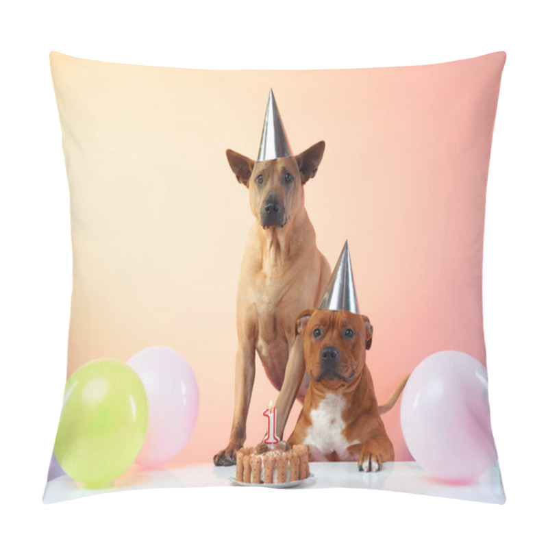 Personality  A Thai Ridgeback And A Staffordshire Bull Terrier Celebrate A Festive Occasion, Adorned With Party Hats And Surrounded By Colorful Balloons Pillow Covers