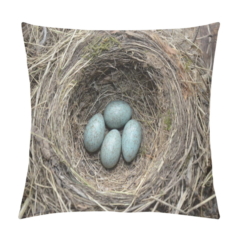 Personality  Natural Nest And Blue Eggs Of A Song Thrush In The Meadow Pillow Covers