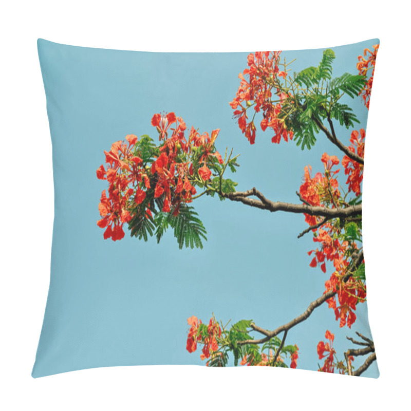 Personality  Vibrant Red Flowers Bloom Against A Clear Blue Sky. Pillow Covers