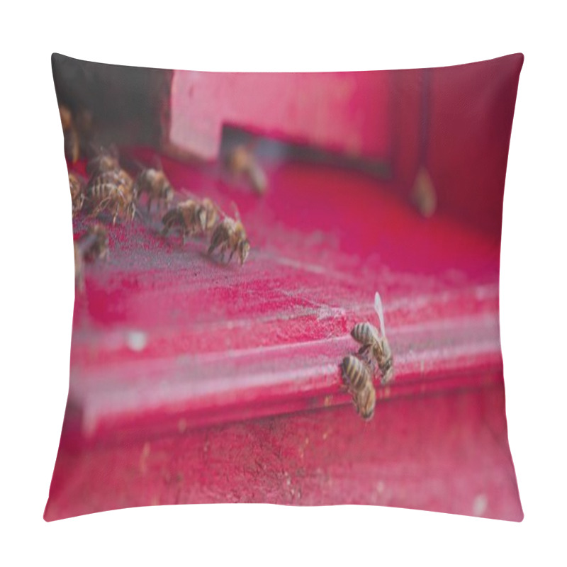 Personality  Honey Bees On A Hive Cluster Full Of Nectar Pillow Covers