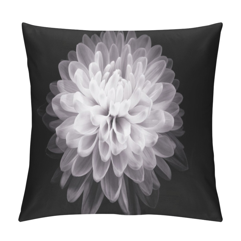 Personality  Flower (black And White) Pillow Covers