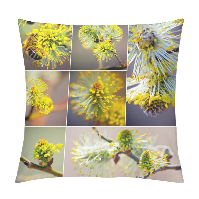 Personality  Pussy Willow Collection Pillow Covers