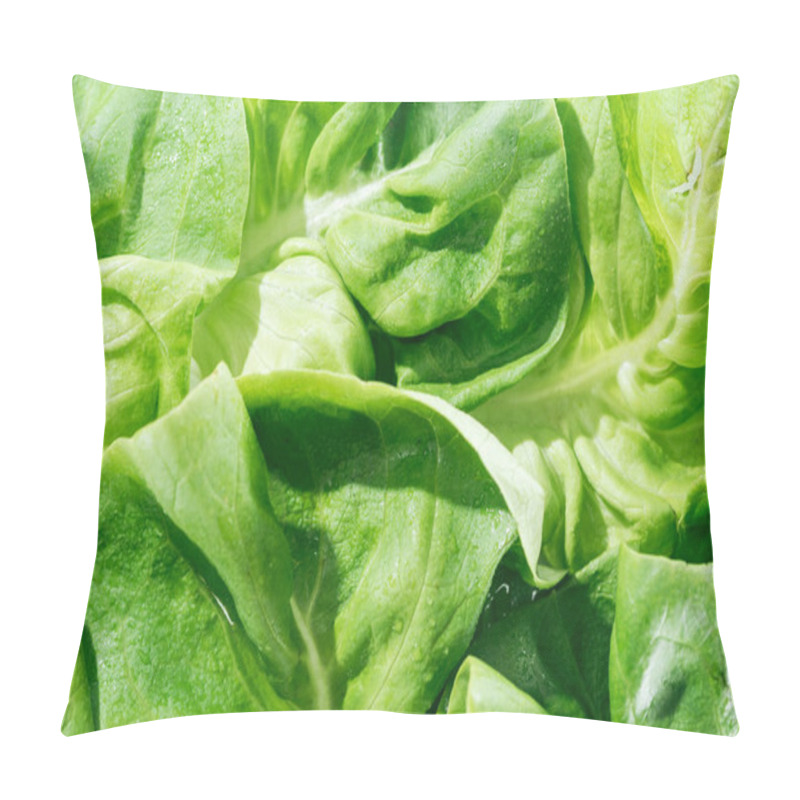 Personality  Close Up View Of Fresh Organic Wet Green Lettuce Leaves With Water Drops Pillow Covers